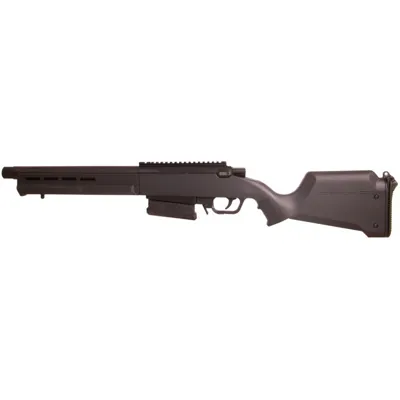 Striker S2 AS-02 Spring - Ares