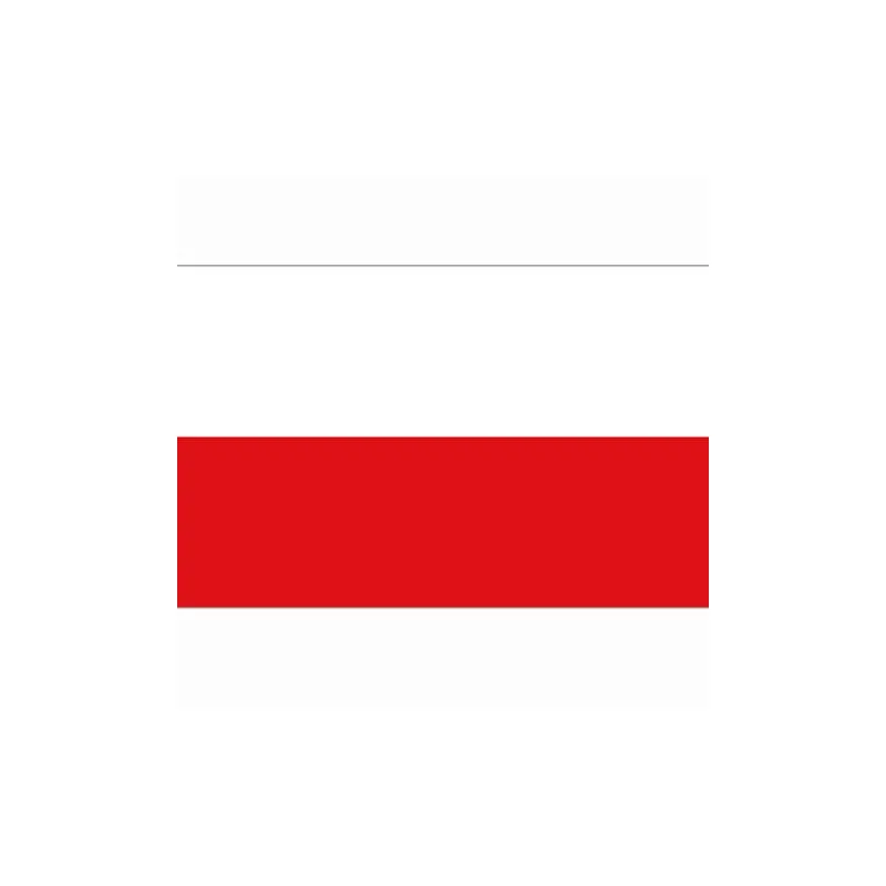 Flag Poland, Game