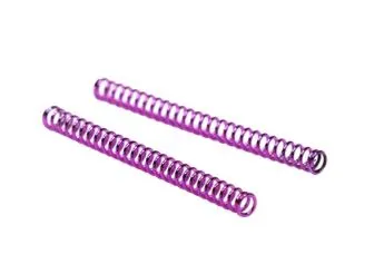AAP-01/Glock Series “Ion” Nozzle Springs Waldo Dynamics