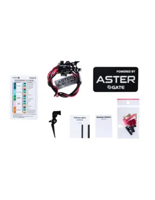 Bloc Detente Électronique Gate ASTER V2 SE Lite Expert- Rear Wired