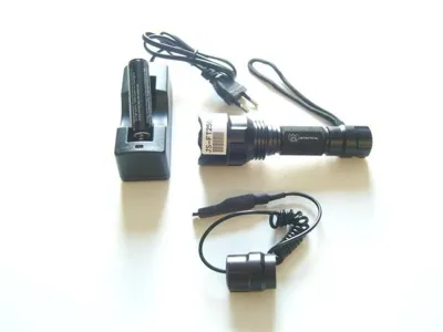 Torcia 250 Lumens