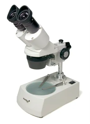 Microscopio 3ST - Levenhuk