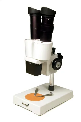 Microscopio 2ST - Levenhuk