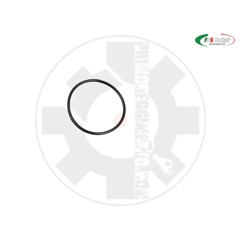 FPS Airsoft O-Ring Anti Attrito per Testa Pistone