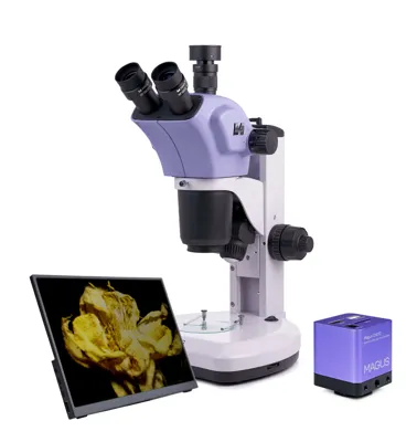 Estereomicroscopio Digital Stereo D9T LCD - MAGUS