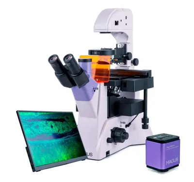 Microscopio Invertido Digital de Fluorescencia Lum VD500L LCD - MAGUS