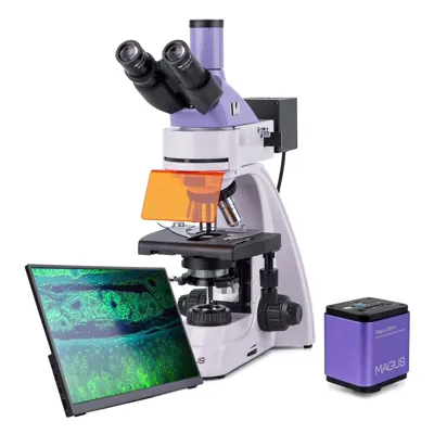 Microscopio de Fluorescencia Digital Lum D400L LCD - MAGUS