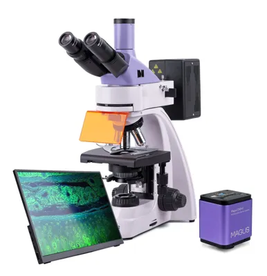 Microscopio de Fluorescencia Digital Lum D400 LCD - MAGUS