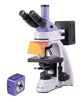 Microscopio Digital de Fluorescencia Lum D400 - MAGUS
