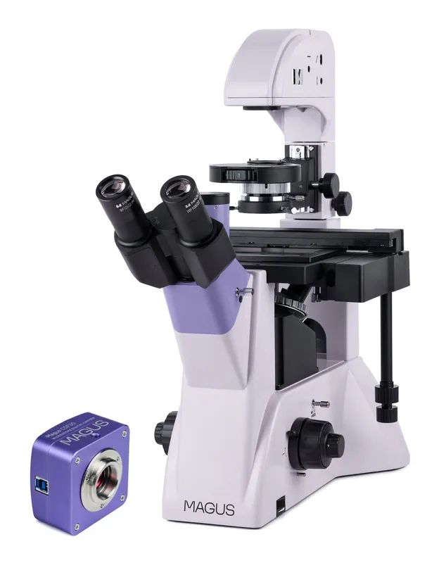 MAGUS Microscopio Biológico Invertido Digital Bio VD350