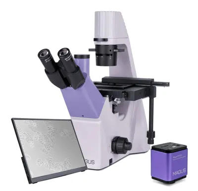 Microscopio Biológico Invertido Digital Bio VD300 LCD - MAGUS