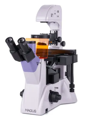 Microscopio Invertido de Fluorescencia Lum V500 - MAGUS