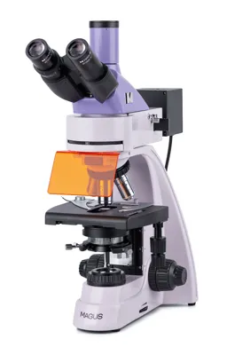 Microscopio de Fluorescencia Lum 400L - MAGUS