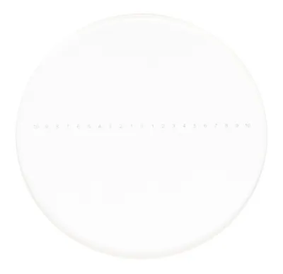 Portaobjetos de Calibración CSS1 para Microscopios Estereoscópicos (0,1) - MAGUS