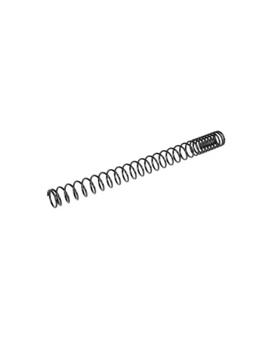 Mainspring M100