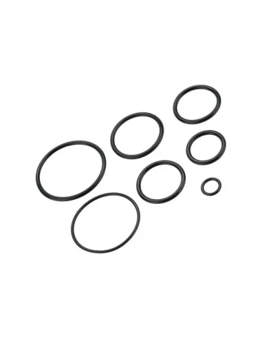 Polarstar Oring Set for F1