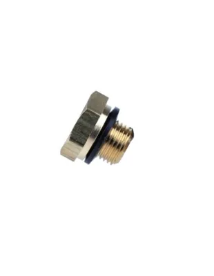 P6 Plug Screw 1/8 NPT with SEAL - P6 Workshop