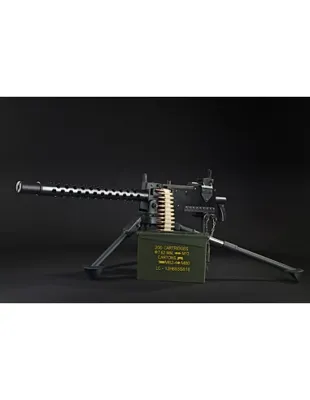 RWA M1919