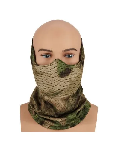 Cygnus Armory Face Warrior Defender - FG