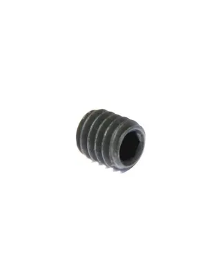 P6 Motor Pinion Gear Screw for PTW Motor - P6 Workshop