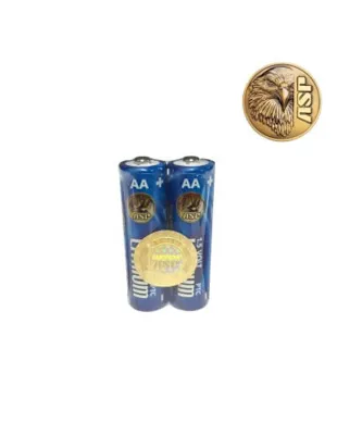 AA Batteries 1.5 Volt (Set of 2) - ASP Inc