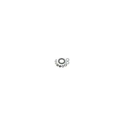 O-Ring Set Ricambio per Caricatore Dsr - Ares