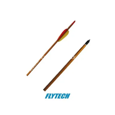 Freccia 2018 - flytech