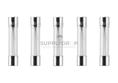 Glass Type Fuse 30mm 20A 5PCS - Nimrod