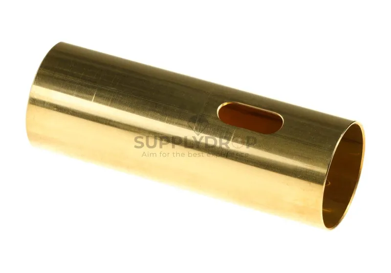 Type 1 Cylinder