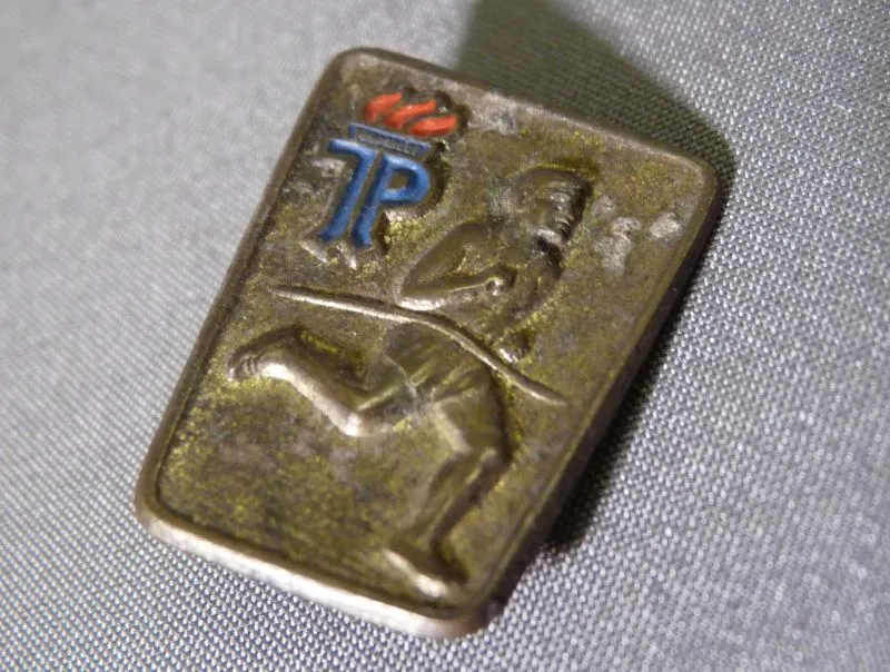 DDR Jungpioniere Insigne