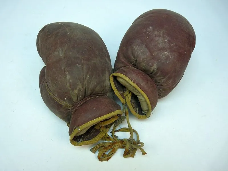 DDR Bokshandschoenen