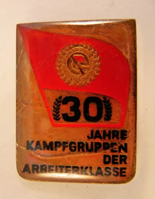Pin, 30 Jaar Kampfgruppen