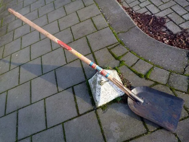 Zweedse Schep, Lang Model