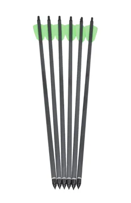 Carbon Armbrustpfeile 15" / 38,1cm Für Cobra Armbrust 6ER Pack - Buchner