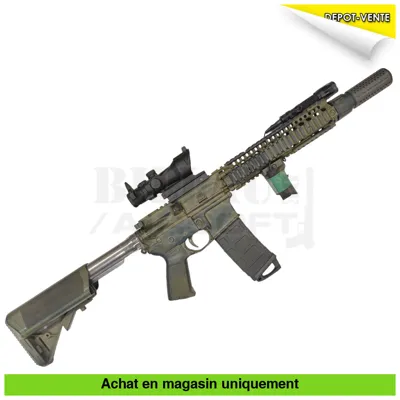 PTW Custom + Chargeurs + Batteries LIPO + Housse +... (Rare !) - Systema