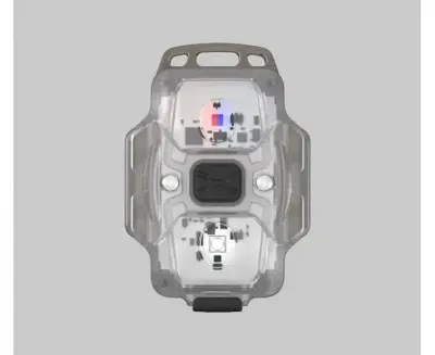 Lampe Tactique Crystal WRB Usb-C - Armytek