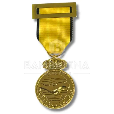 Medalla Dana 2024 Conmemorativa