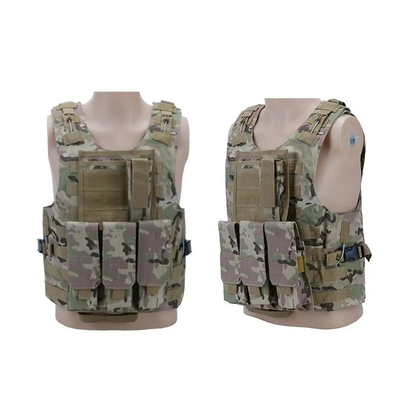 LF AAV FSBE · Multicam