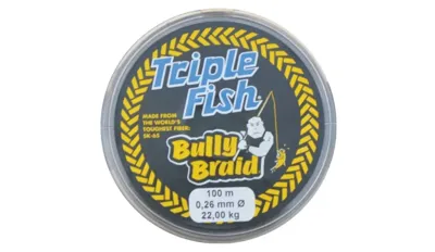 Μεσινεζα Bully Braid Γκρι Ανθρακονημα 100Μ - MYLON