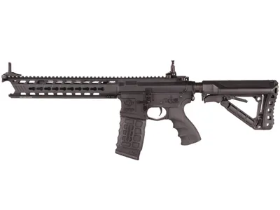 CM16 Predator / 012174 - G&G Armament