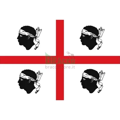 Bandiera 100 x 150 cm Regione Sardegna / Quattro Mori - in Stamina Di Poliestere 100% - 145g/Mq (Circa) - GENERICA