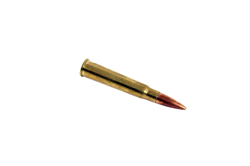 Bullet Brit. 303, Decoration