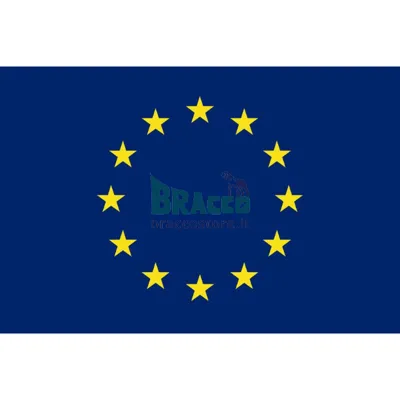 Bandiera 20 x 30 cm Comunità Europea / Cee - in Stamina Di Poliestere 100% - 145g/Mq (Circa) - GENERICA