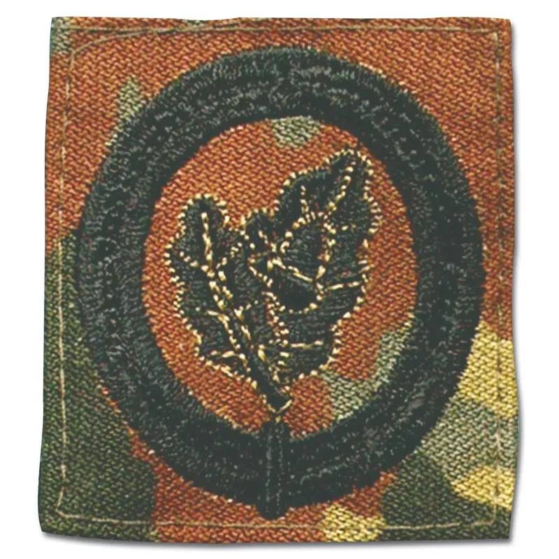 Bundeswehr Original Abzeichen BW Einzelkämpfer · Negro