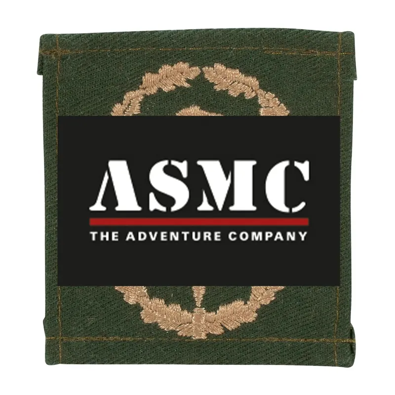 ASMC BW Leistungsabzeichen · Oliv bronze