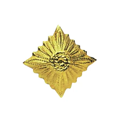 Dienstgradstern - NVA