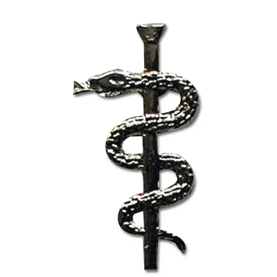 Pin Mini Metall Abzeichen Aeskulap-Stab - ASMC