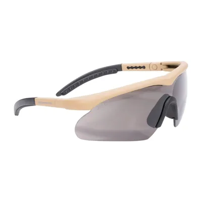 Schutzbrille Raptor - Swiss Eye