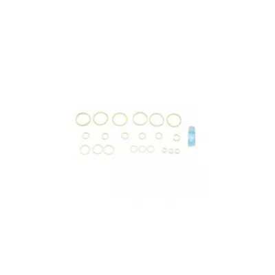 CO2 Repeirng 0-RINGS AC011