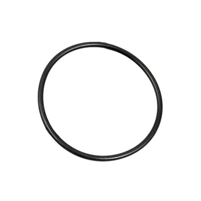 O-Ring Antifrcción para Cabeza de Pistón - FPS